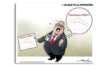 Lo que ve